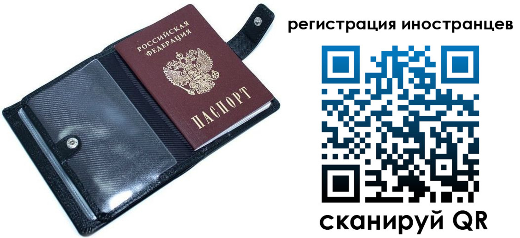 прописка ребенка в Пионерском